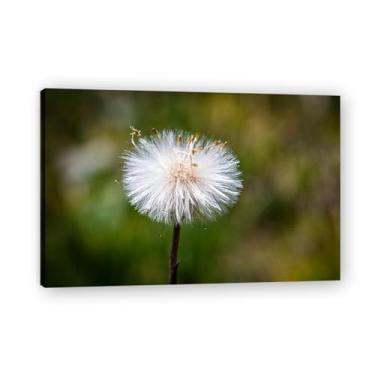 Imagem de Pintura em tela para parede, sementes de dente-de-leão germinadas, impressão de pôster para sala de estar, quarto, cozinha, escritório, 75 x 50 cm