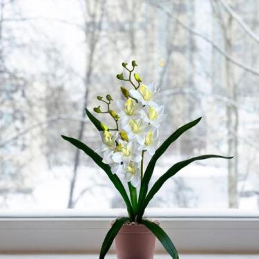 Imagem de 5 Galhos de Orquídea Artificial - Flor Composta por Silicone de Alta Q