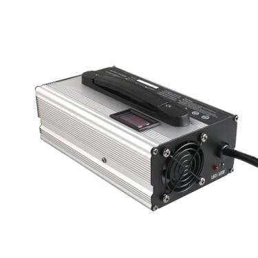 Imagem de Lzyjckh Carregador de bateria para empilhadeira, Carregadores de baterias de chumbo-ácido de 24 V e 25 A para baterias de chumbo-ácido AGM/GEL/ÚMIDA/Grafeno,Silver,3#