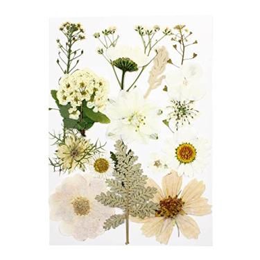 Imagem de Segolike 1 saco de flores secas prensadas, pétala real, kit de folhas secas sortidas, para joias de resina epóxi, decoração de adesivos para fabricação de velas, branco