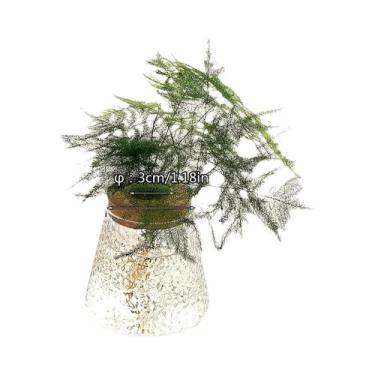 Imagem de Vaso De Vidro Para Plantas, Vaso Hidropônico, Decoração De Mesa, Escri
