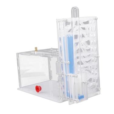 Imagem de Stgfyxgs Fazenda de Formigas de Acrílico Transparente, Brinquedo Divertido para Oficina, Fazenda, Vila, Sala de Estar, Quarto, Festa Infantil, Branco