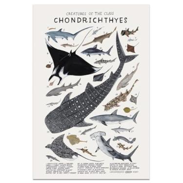 Imagem de Arte de parede de tubarão imagens de animais Chondrichthyes guia pôster impressões de conhecimento animais peixes tela gráfico pôster sala estética para casa sala de aula escritório decoração de
