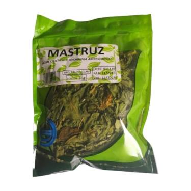 Imagem de Chá de Mastruz (Erva Santa Maria) Talo e Folha 30g – Produto Natural