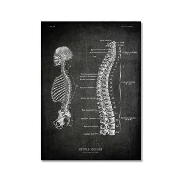 Imagem de Arte vintage de anatomia humana – pintura em tela de educação médica esqueleto humano gaiola cérebro coração anatomia pôster para decoração de casa de clínica hospitalar (SKU6,20.3x30.5 cm = (20 x 30