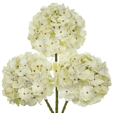 Imagem de Flores artificiais de hortênsia branca, 49,8 cm, secas, texturizadas, flores de hortênsia com hastes, 3 peças, flores brancas falsas, flores artificiais, volume para mesas, centros de mesa, decoração