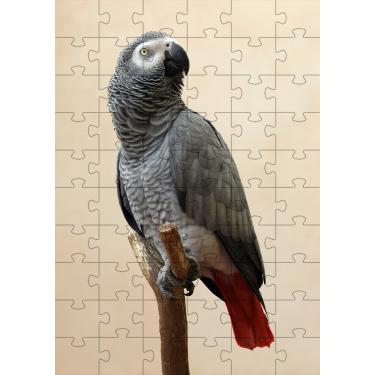 Imagem de 2 Quebra-Cabeças Inclusivos 40 peças  Aves Belas para Mentes Inteligentes