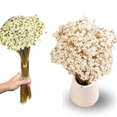 Imagem de Flor Desidratada Sempre Viva C/02 Maços Branca Decoração Festa Decoração de Casamento