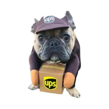 Imagem de Fantasia Engraçada De Halloween Para Cães E Gatos, Roupa De Correio Pa