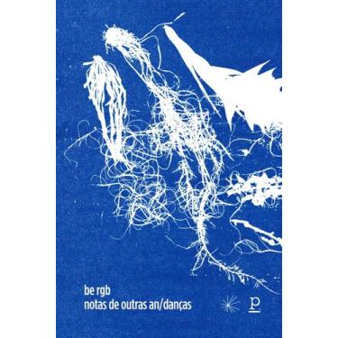 Imagem de Livro - notas de outras an/danças