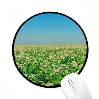 Imagem de Sky Green Silvicultura Ciência Natureza Cenário Mouse Pad Desktop Escritório Tapete Redondo para Computador