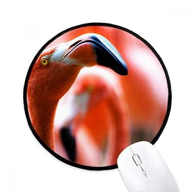 Imagem de Tapete de rato animal selvagem flamingo organismo terrestre desktop escritório tapete redondo para computador