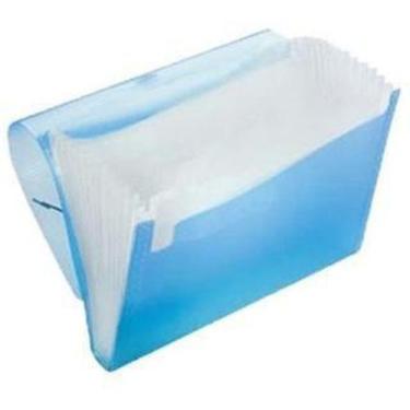 Imagem de Pasta Sanfonada Média 19x24cm Plástica Duplicata de 12 Divisóriasr Con