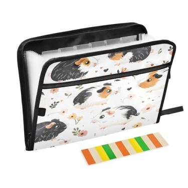 Imagem de CEBUGI Pasta expansível com 13 bolsos, organizador de arquivos sanfonado à prova d'água com etiquetas tamanho A4, organizador de documentos de papel para escola, material de escritório