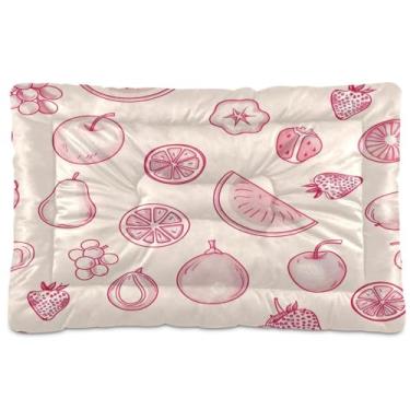 Imagem de Wassud Simple Line Art Cama de frutas para cães pequenos, tapete lavável para animais de estimação, cama de gato para dormir, viagens, 45 x 61 cm