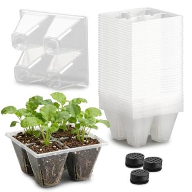 Imagem de RooTrimmer Pacote com 40 bandejas para iniciantes de mudas de 4 células, inserções transparentes, bandejas para iniciantes de plantas com orifícios de drenagem para germinação e propagação de sementes