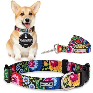 Imagem de Coleiras femininas para cachorros Lucky Love Dog, pequenas, médias, grandes | Conjunto de coleiras combinando, premium, coleiras florais para meninas e cãesLucky Love Dog Small Blackbird Combo Small