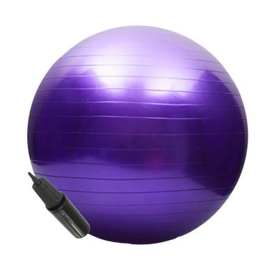 Imagem de Bola Suíça Yoga Funcional Abdominal Pilates Com Bomba 65 Cm