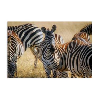 Imagem de SDYJ6GSW Imagens de animais em preto e branco para decoração de parede Zebra pastando na savana africana impressão de cavalo imagem de tela pintura de parede zebra decoração de parede para sala de