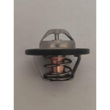 Imagem de Válvula Termostatica Sandero Logan Clio 1.6 16v 2007 2014