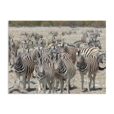 Imagem de SDYJ6GSW Imagens de animais em preto e branco para decoração de parede Parque Nacional de Etosha, imagens de zebra, imagem de cavalo, pintura de arte de parede, zebra, decoração de parede para sala de