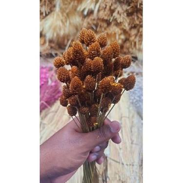 Imagem de Flores Sempre Viva Secas para Decoração – Kit 300 a 2100 Unidades Ideal para Festa Casamento e Arranjos (Botão Rústico,5 buquês)