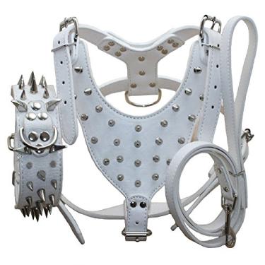 Imagem de Haoyueer Coleiras, arreios e trelas cravejadas afiadas de couro, conjunto de 3 peças combinando para cães médios e grandes Pit Bull, Mastim, Boxer, Bull Terrier