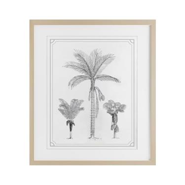 Imagem de Stupell Industries Impressão emoldurada de bétula de trio de palmeira esboços sob vidro, design por letras e forrado, 53 x 43 cm