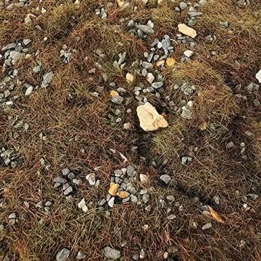 Imagem de Newmind Simulação de cobertura de planta miniatura 50G grama moída pedra rocha para mini jardim modelo trem micro paisagem kit de construção arquitetura, grama outono