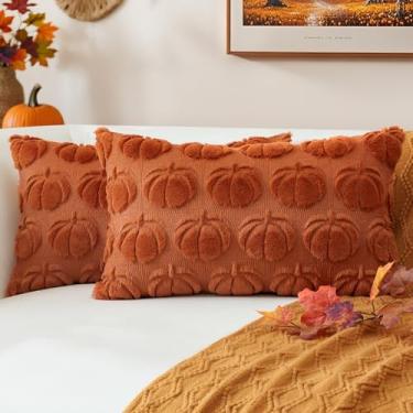 Imagem de OTOSTAR Capas de almofada de outono 30,5 x 50,8 cm, conjunto de 2 decorações de abóbora, outono, colheita, fronhas macias de pelúcia sintética para sofá, para decoração de cama de casa, presentes de