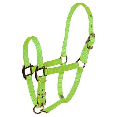 Imagem de Pony Halter Hamilton 3/4 de nylon ajustável em limão