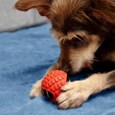 Imagem de Bolacap Bola de Tênis com Capa de Borracha para Cães, Dispensador de Petiscos, Resistente, Interativo, Todas as Raças, Plástico, Médio, Azul, Uso Interior