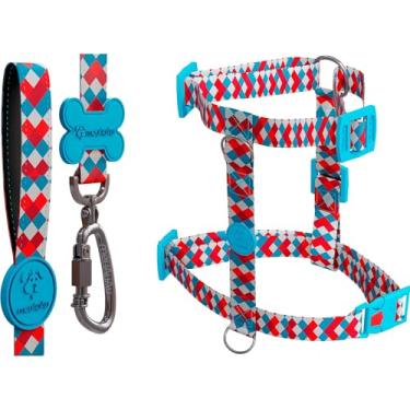 Imagem de Kit H 3 em 1 Com Peitoral H Para Cachorro, Guia Tradicional e QR Code Localizador (Chique, P)