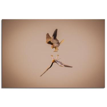 Imagem de Pássaro Pôster Penas Impressão em Tela Animal Wall Art For Home 1 Painéis Decorações Noframed 30.5 cm x 20.3 cm