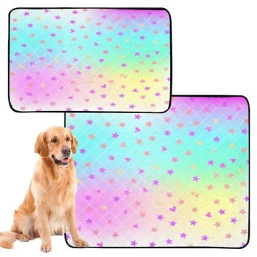 Imagem de CEBUGI Almofadas de xixi laváveis para cães, pacote com 2, almofadas impermeáveis para filhotes de cachorro, antiderrapante, à prova de vazamento, para cama de cercadinho, fundo gradiente colorido
