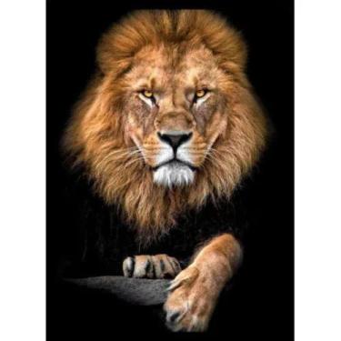 Imagem de Quadro Decorativo Leão Judá Religioso Grande Mega Oferta - AY, Imagem 