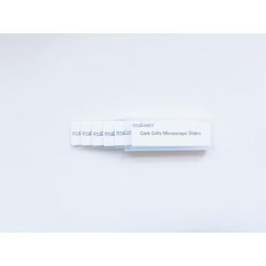 Imagem de Lâminas de microscópio preparadas para células de cortiça, pacote com 5 lâminas de cortiça para aprender sobre a estrutura celular encontrada em plantas
