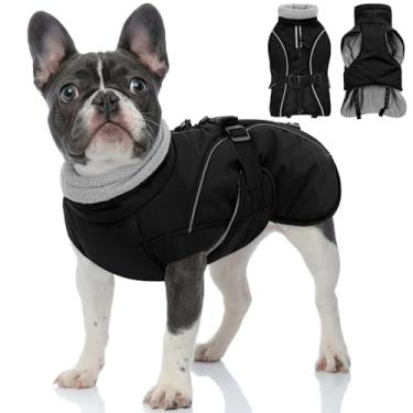 Imagem de Queenmore Casaco quente para cães de inverno, colete impermeável, acolchoado de lã, roupa de neve, fivela ajustável, furo de trela, refletivo, para clima frio, parca para cães pequenos, médios