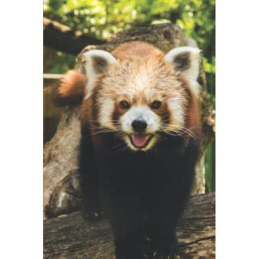 Imagem de Red Panda Notebook: Cute Red Panda Journal Notebook For Red Panda Lovers | 6x9 120 Pages Blank Lined Journal Diary | Gift Girls Women Boys Kids School