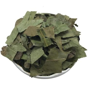 Imagem de Eucalipto Globulus 500g (Erva Desidratada) - Magnata das Ervas