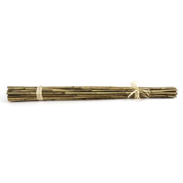 Imagem de SuperMoss (12383) Bastões de Bambu, Naturais, 60 cm (pacote com 25)