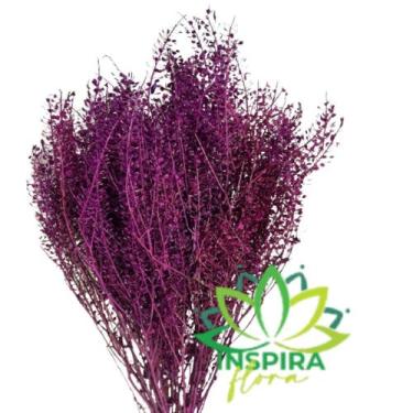 Imagem de Buque Sementinha - Inspira Flora, Roxo