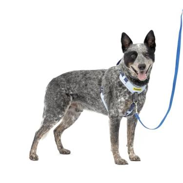 Imagem de PetSafe Peitoral para cães Easy Walk confortável sem puxões - Melhor caminhada no primeiro uso - 5 pontos de ajuste médio/grande, azul