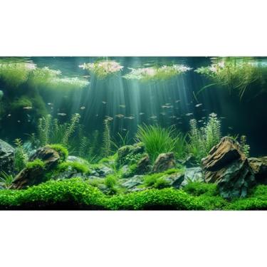 Imagem de Fundo de aquário de algas marinhas aquáticas subaquáticas sob o mar folhas de grama verde exuberante fundo de tanque de peixes fundo de rocha do mar profundo com raios de sol nebulosos enevoados