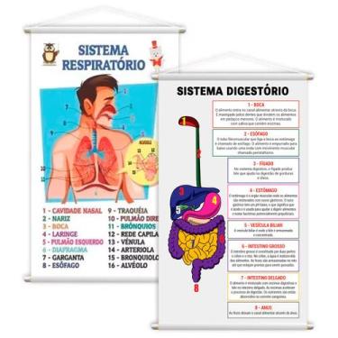 Imagem de Sistema Respiratório + Digestivo Kit 2 Banners Grande - PlimShop