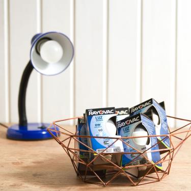 Imagem de Kit com 5 Lâmpadas Led 8W Rayovac Branca Bivolt