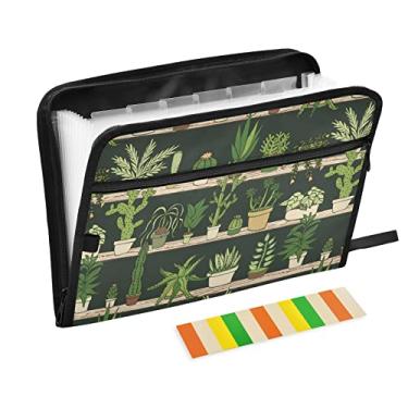 Imagem de ALAZA Pasta expansível de cacto, pasta organizadora de documentos expansível de 13 bolsos com fecho de zíper para escritório em casa, tamanho carta A4, documento em papel