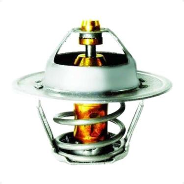 Imagem de Termostato AX 1991/1998 - 55639 - 224889 - Citroën