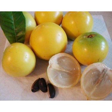 Imagem de Kit - 4 Frutíferas Exóticas: Espécies Na Descrição - Mudas Herculândia