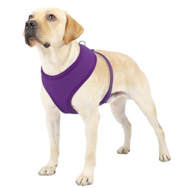 Imagem de MoNiBloom Peitoral para cães de tamanho grande, colete acolchoado macio para caminhar, correr, treinar - roxo, GG